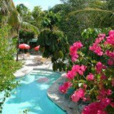 Turtle Cove Inn Εξωτερικό φωτογραφία