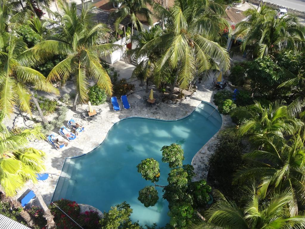 Turtle Cove Inn Δωμάτιο φωτογραφία