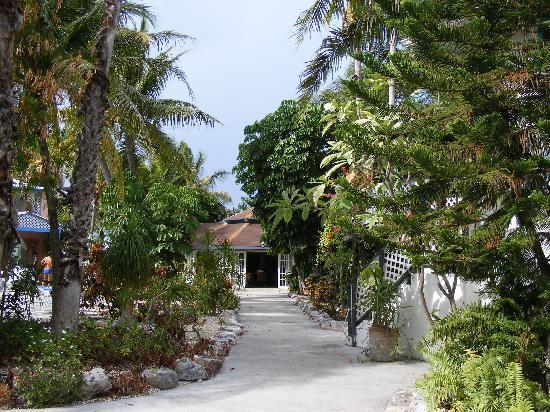 Turtle Cove Inn Εξωτερικό φωτογραφία